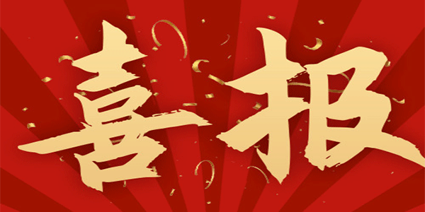 大尺寸气浮悬挂装置成功交付！